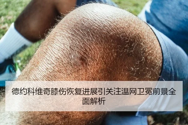 德约科维奇膝伤恢复进展引关注温网卫冕前景全面解析